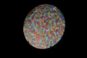 Multicolore