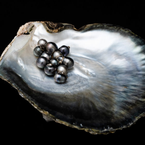 perle sfuse barocche di tahiti